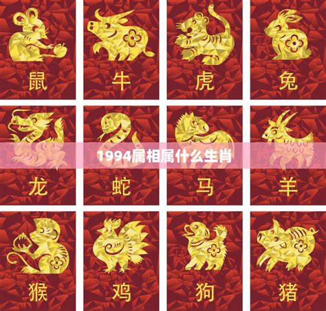 生肖 1989|1989属什么生肖？详细解析1989年的生肖归属